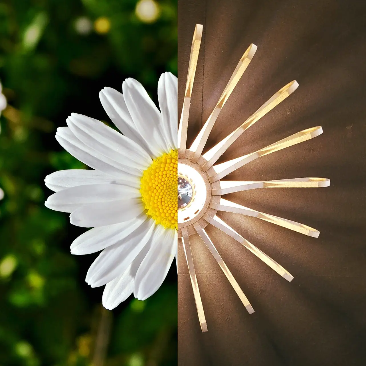 applique en forme de fleur